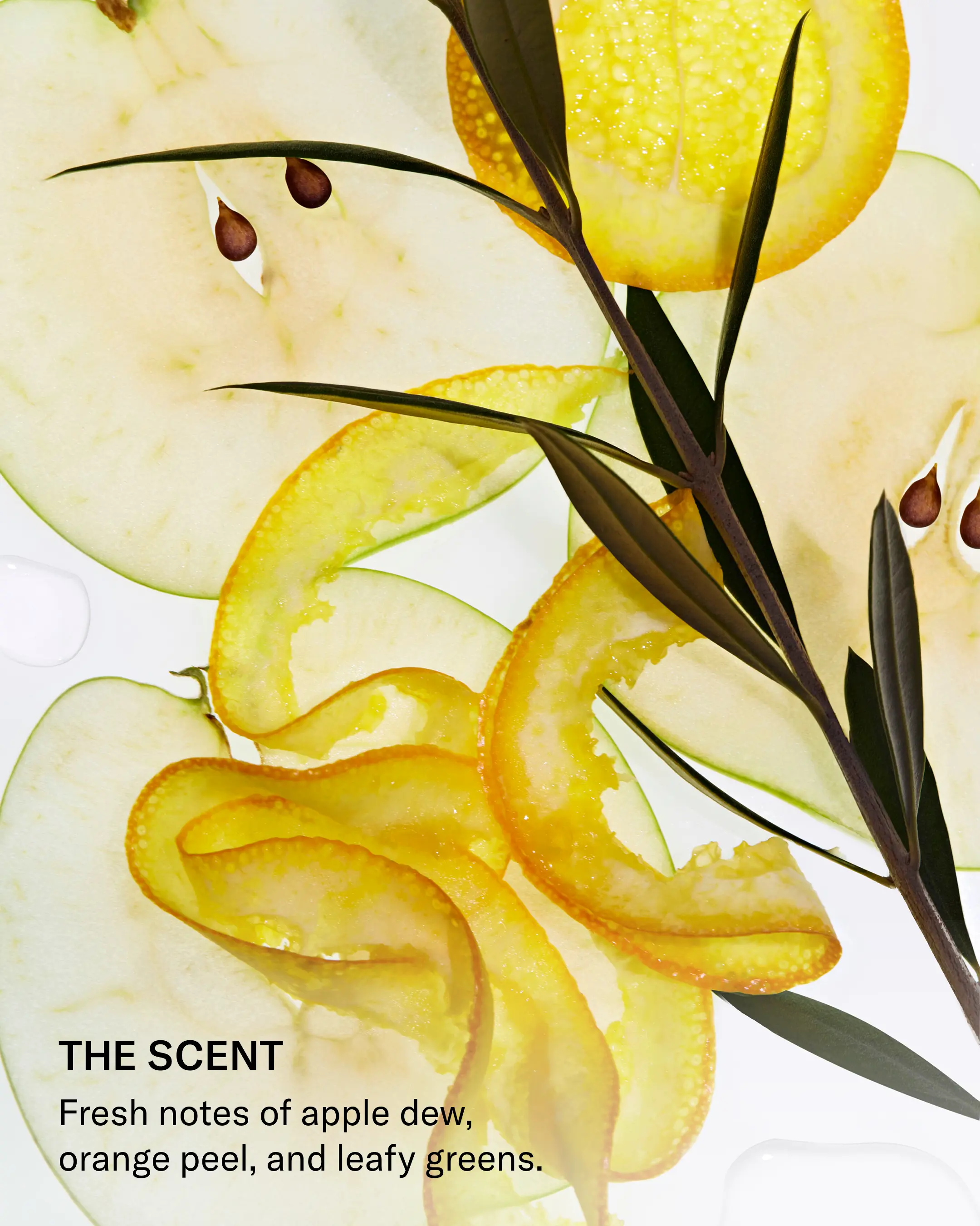 SEEN Conditioner - Image 17