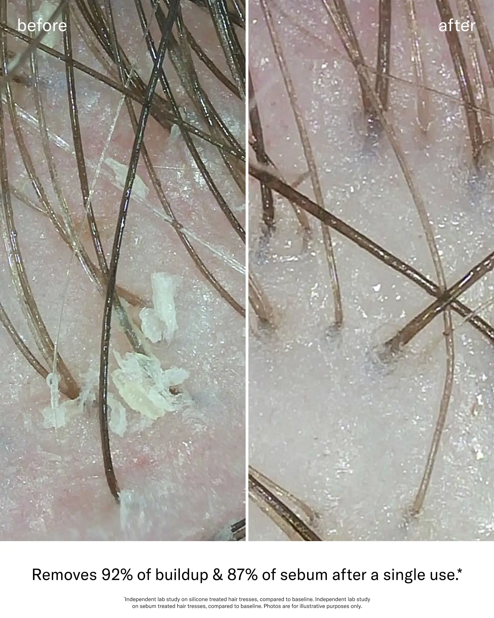 SEEN Scalp Clarifying Shampoo, Fragrance Free - Image 4